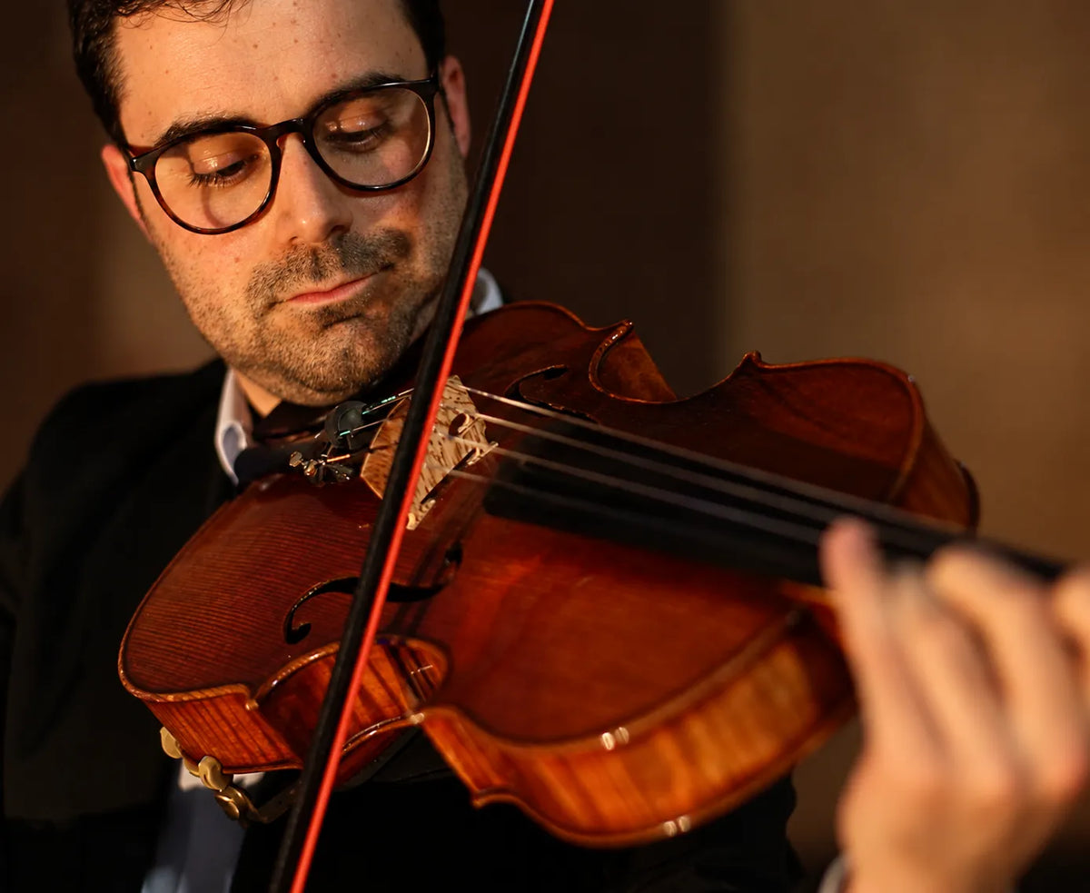 Viola